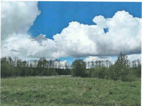 Земельный участок 